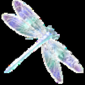 Meet your Posher, Bettina